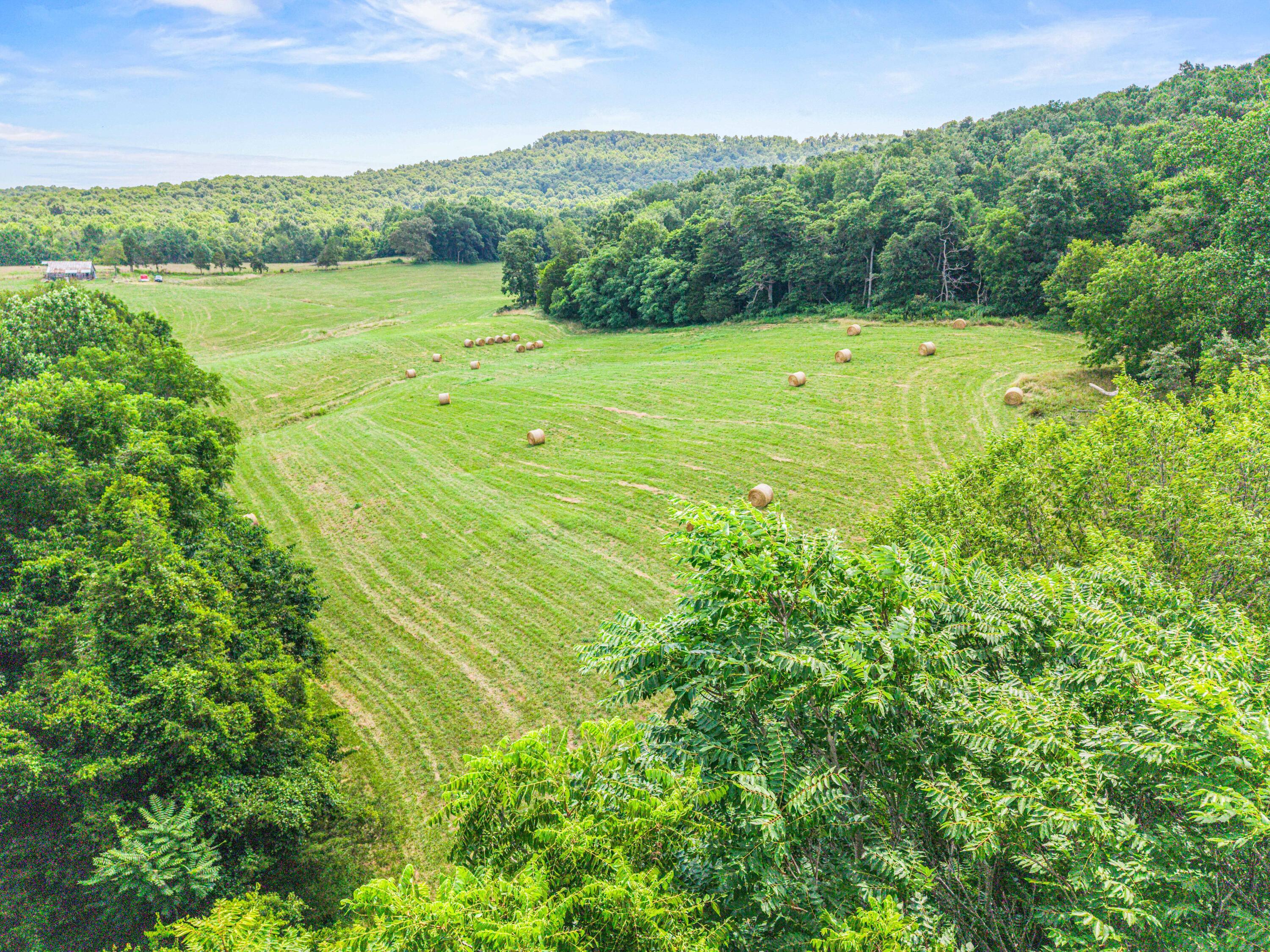 Image 3: 44 Acres Photo-02