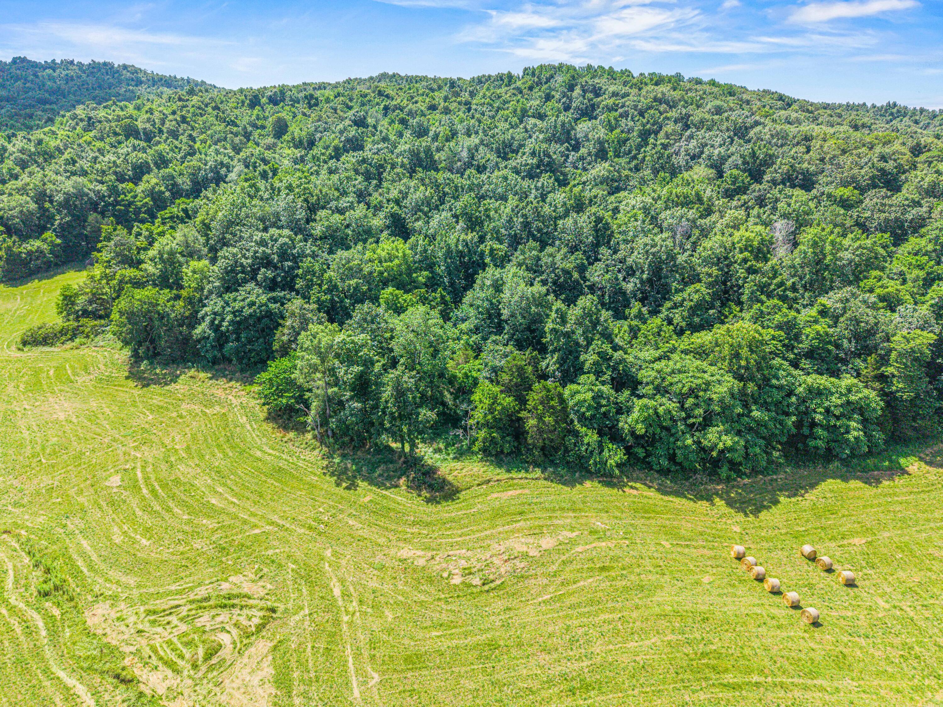 Image 4: 44 Acres Photo-09