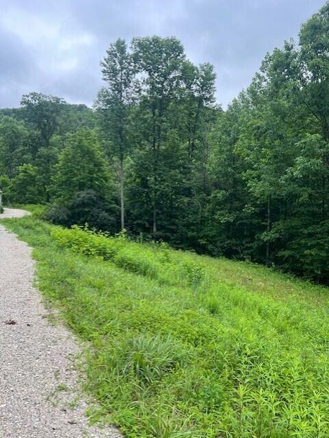 Image 3: thumbnail_IMG_8776