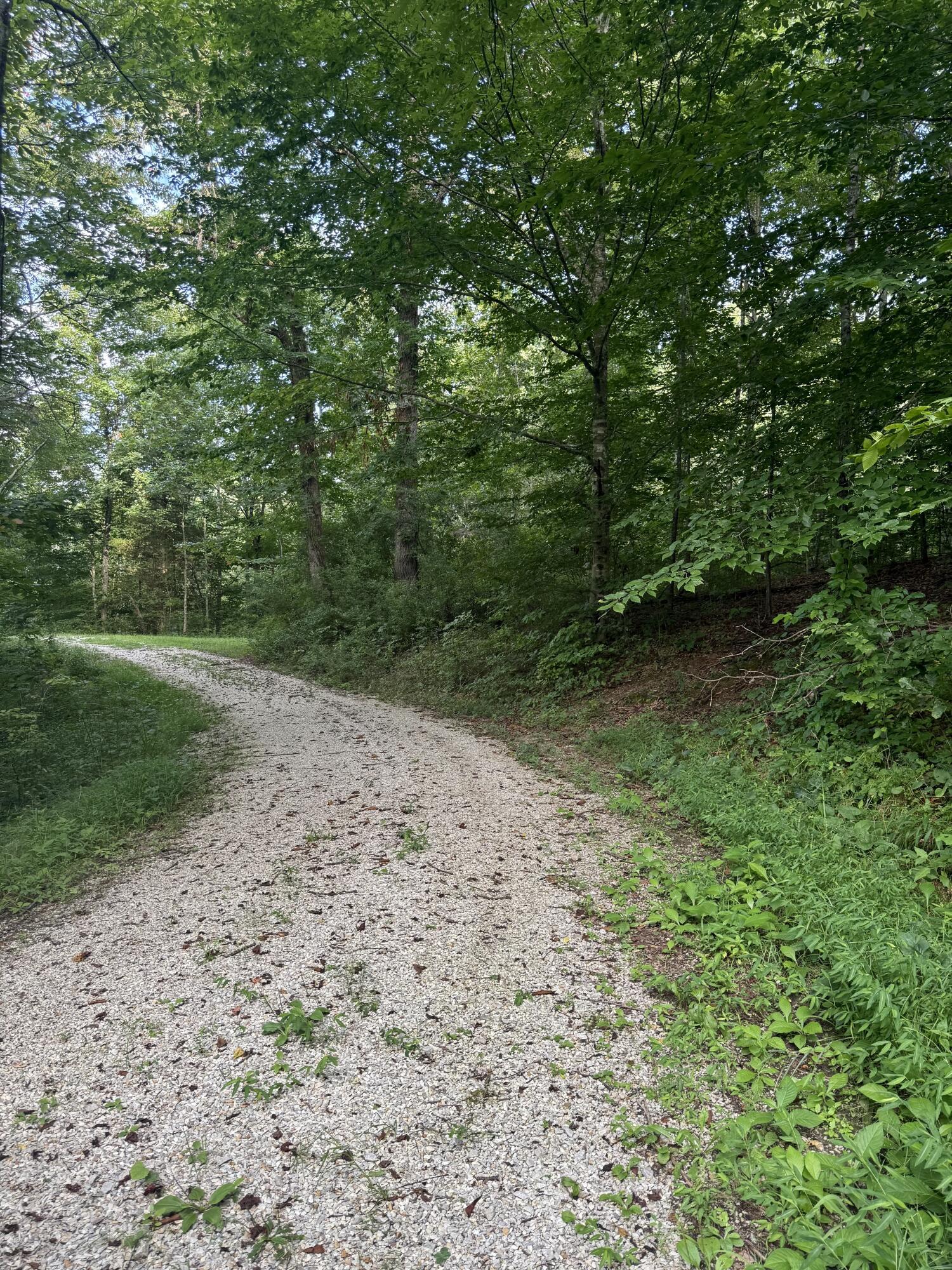 Image 3: IMG_4215 2