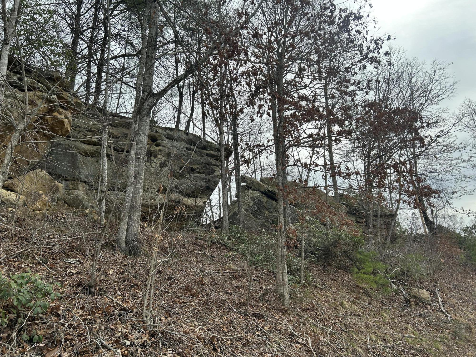 Image 4: Image_20260319_142722_200