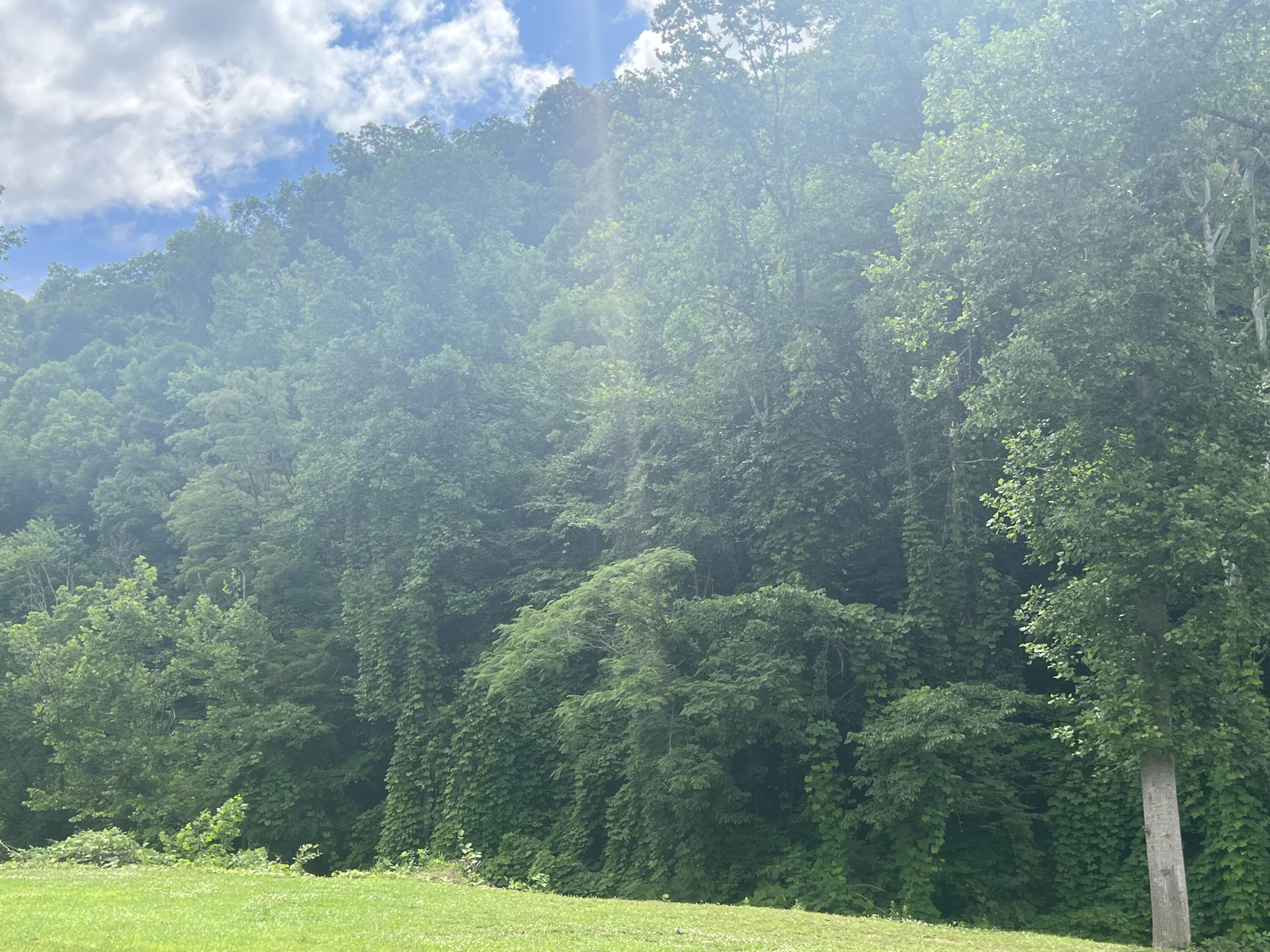 Image 3: 4D0057C6-8618-441B-A909-1A9492888502