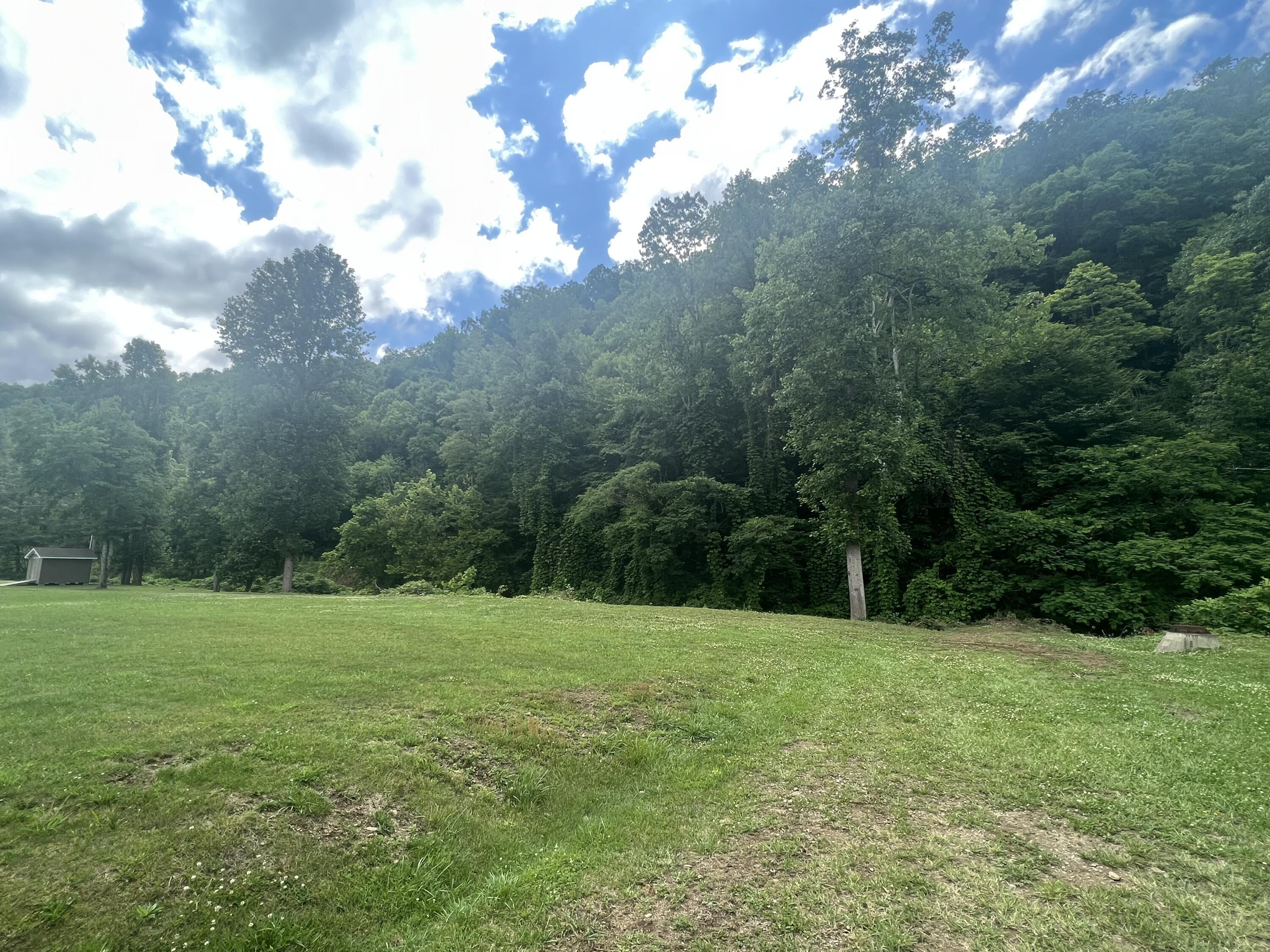 Image 4: 49D84B41-9789-4A86-B967-1FC0B94906C3