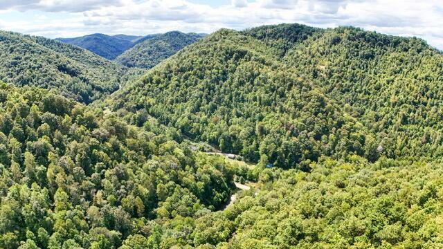 Image 2: Daniel Boone Nat't Forrest