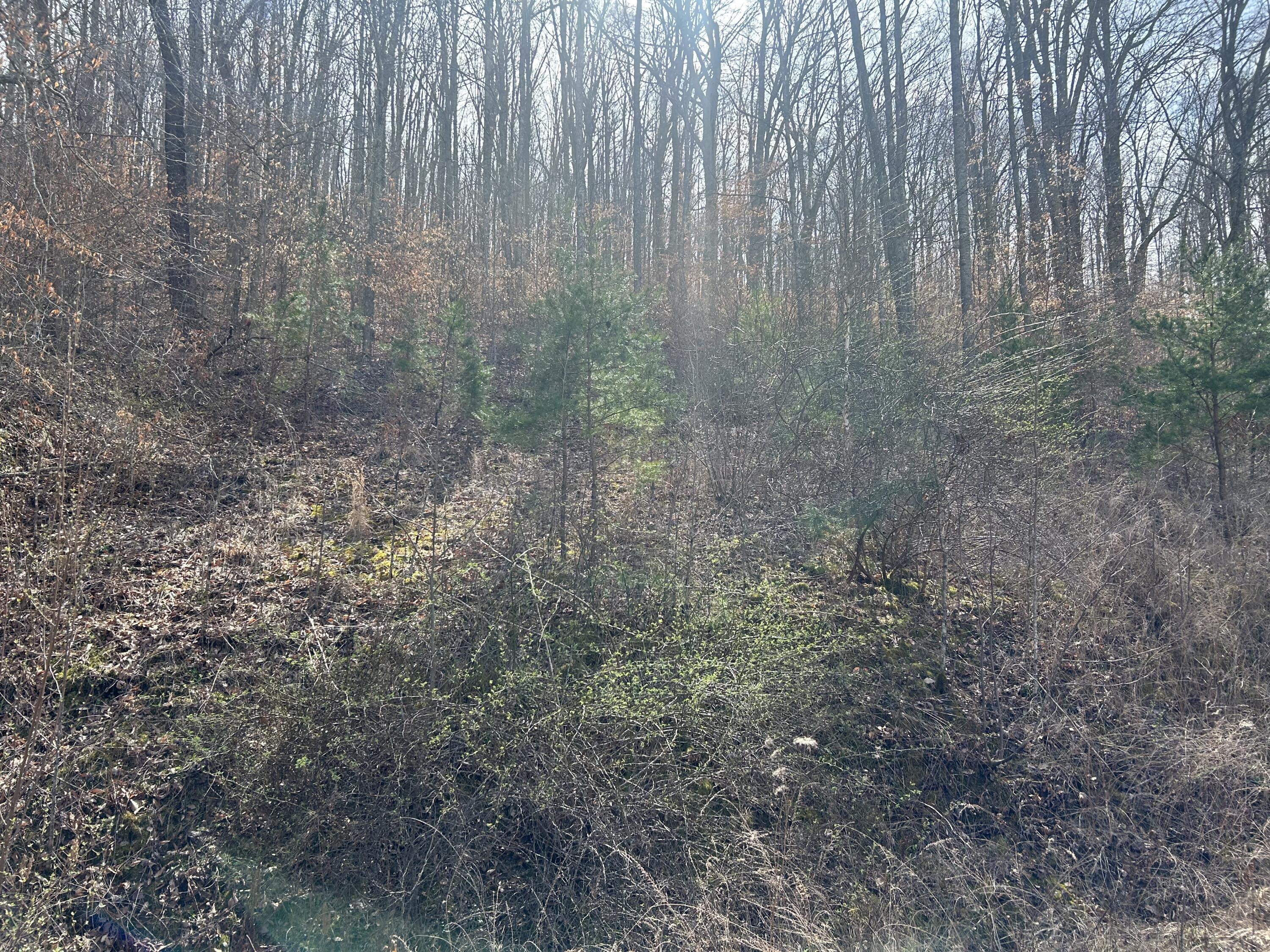 Image 4: IMG_1191