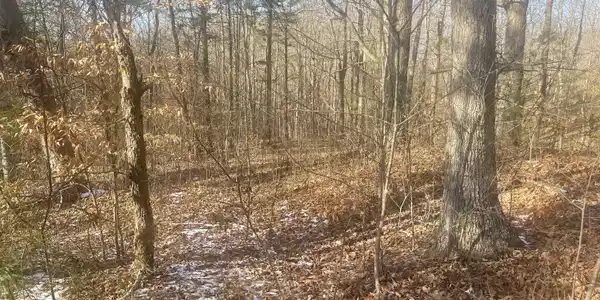 Lot 2 Cumberland Shores