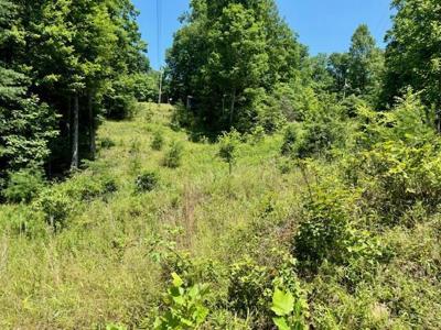 Lot#141 Peaceful Valley Rec Retreat