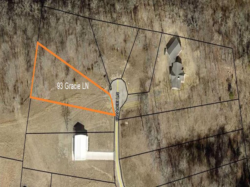 Image 3: Gracie Lane 93