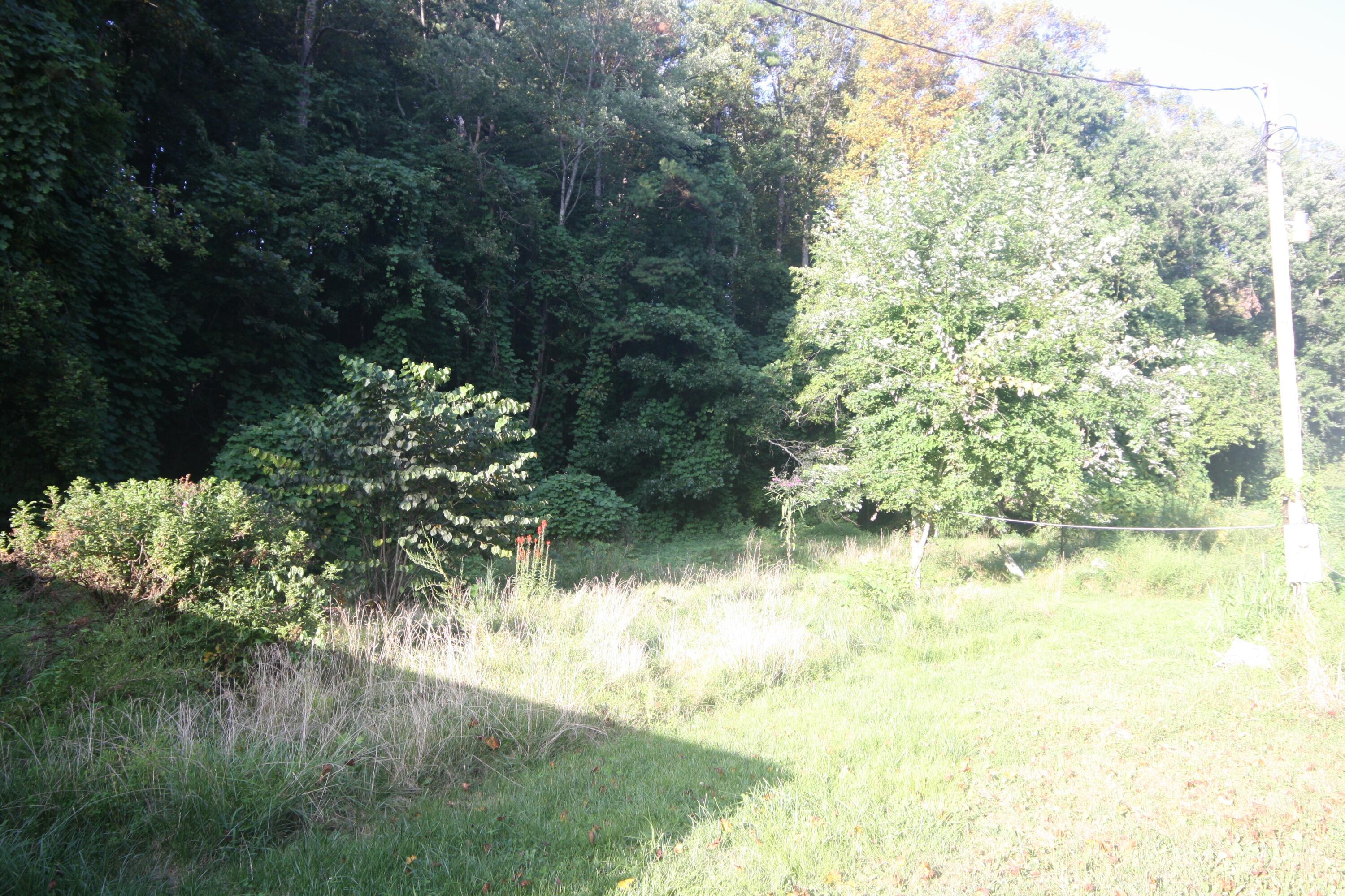 Image 3: IMG_7744 A