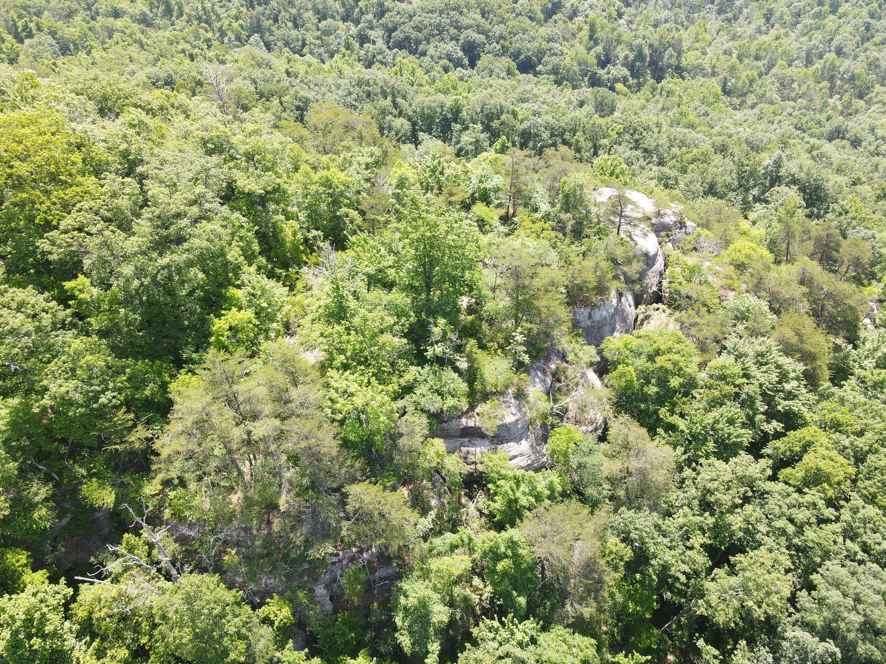 Image 4: DJI_0001