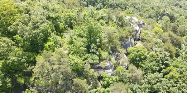 Image 4: DJI_0001