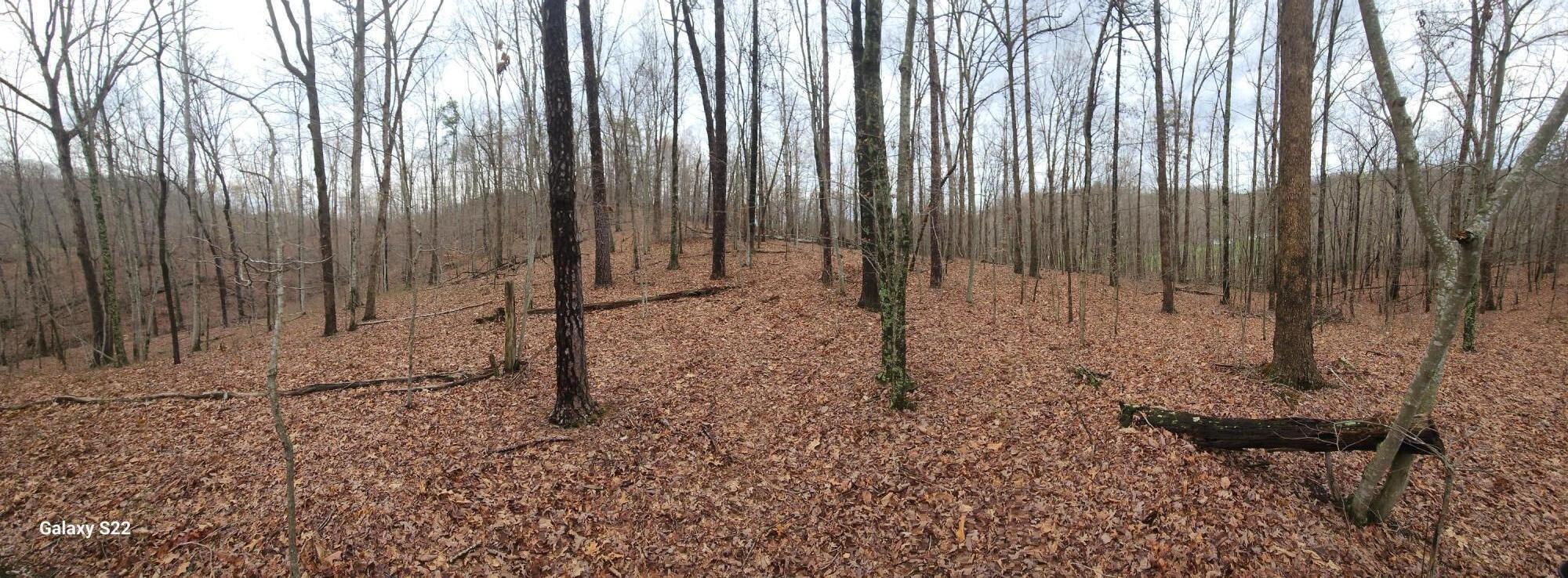 Image 2: 20250405_173014