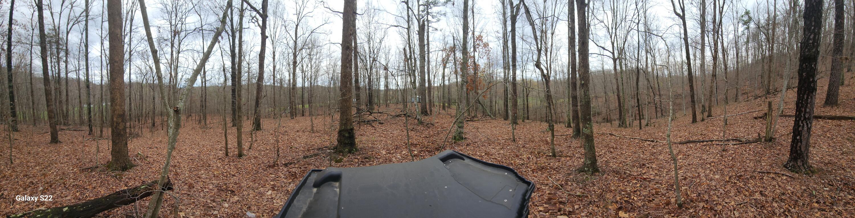 Image 4: 20250405_173102