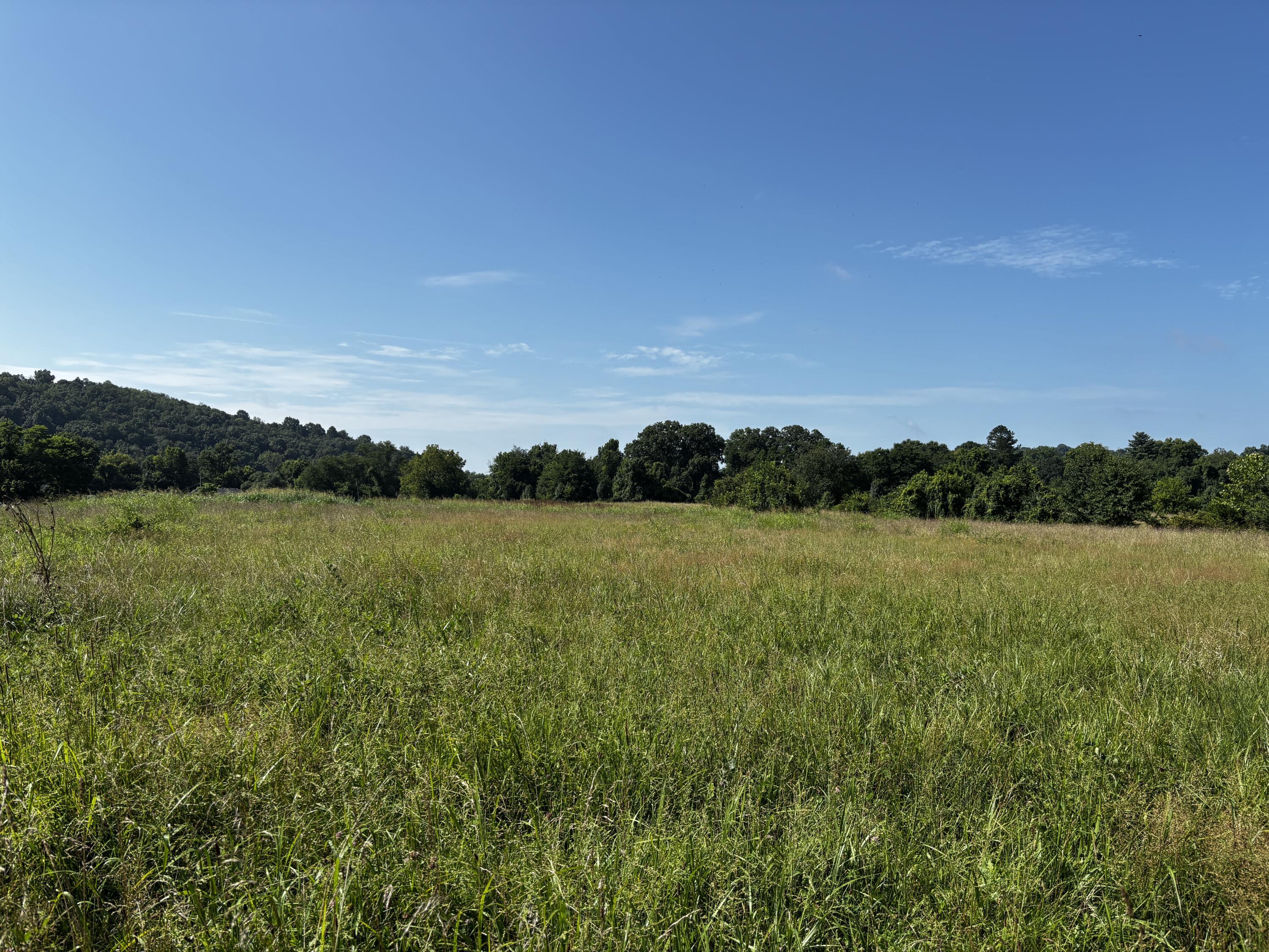 Image 4: Kentucky Avenue Side photo 2