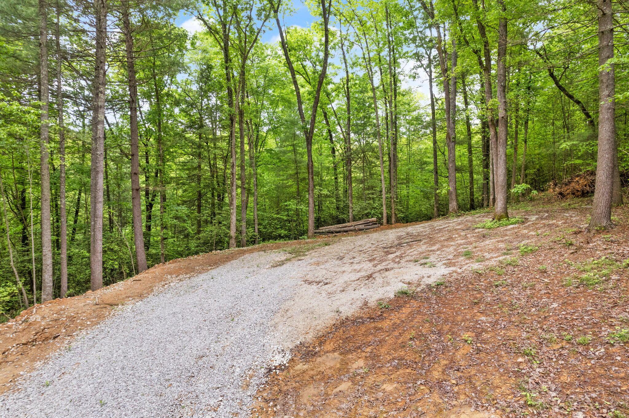 Image 3: 2-web-or-mls-DJI_0177