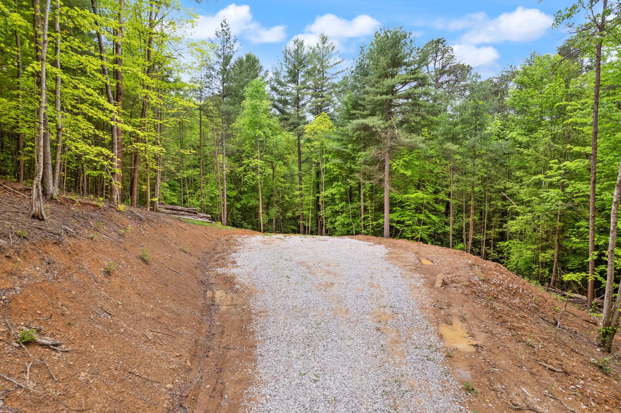 Image 4: 4-web-or-mls-DJI_0181