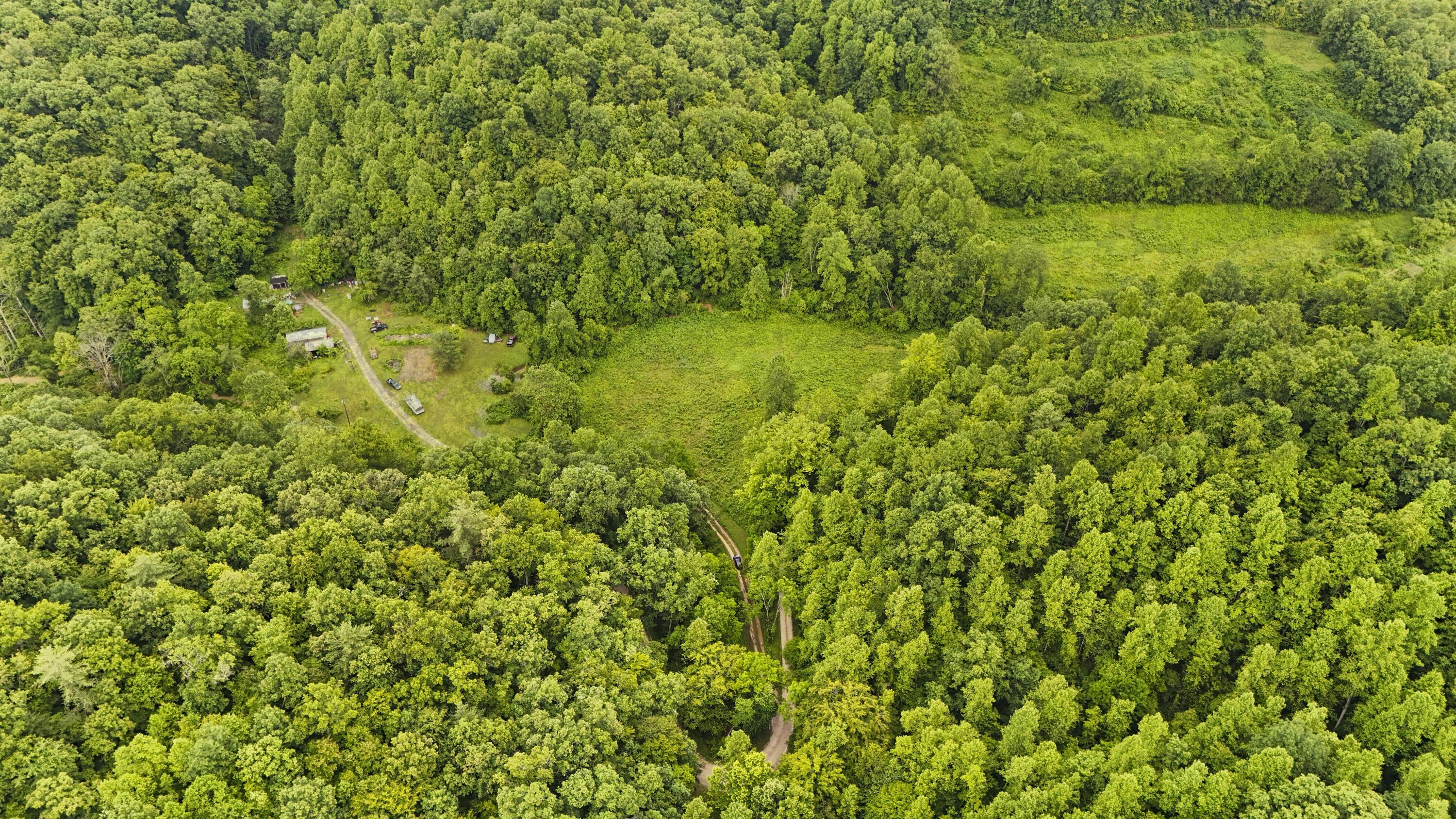 Image 3: DJI_20250619152930_0048_D