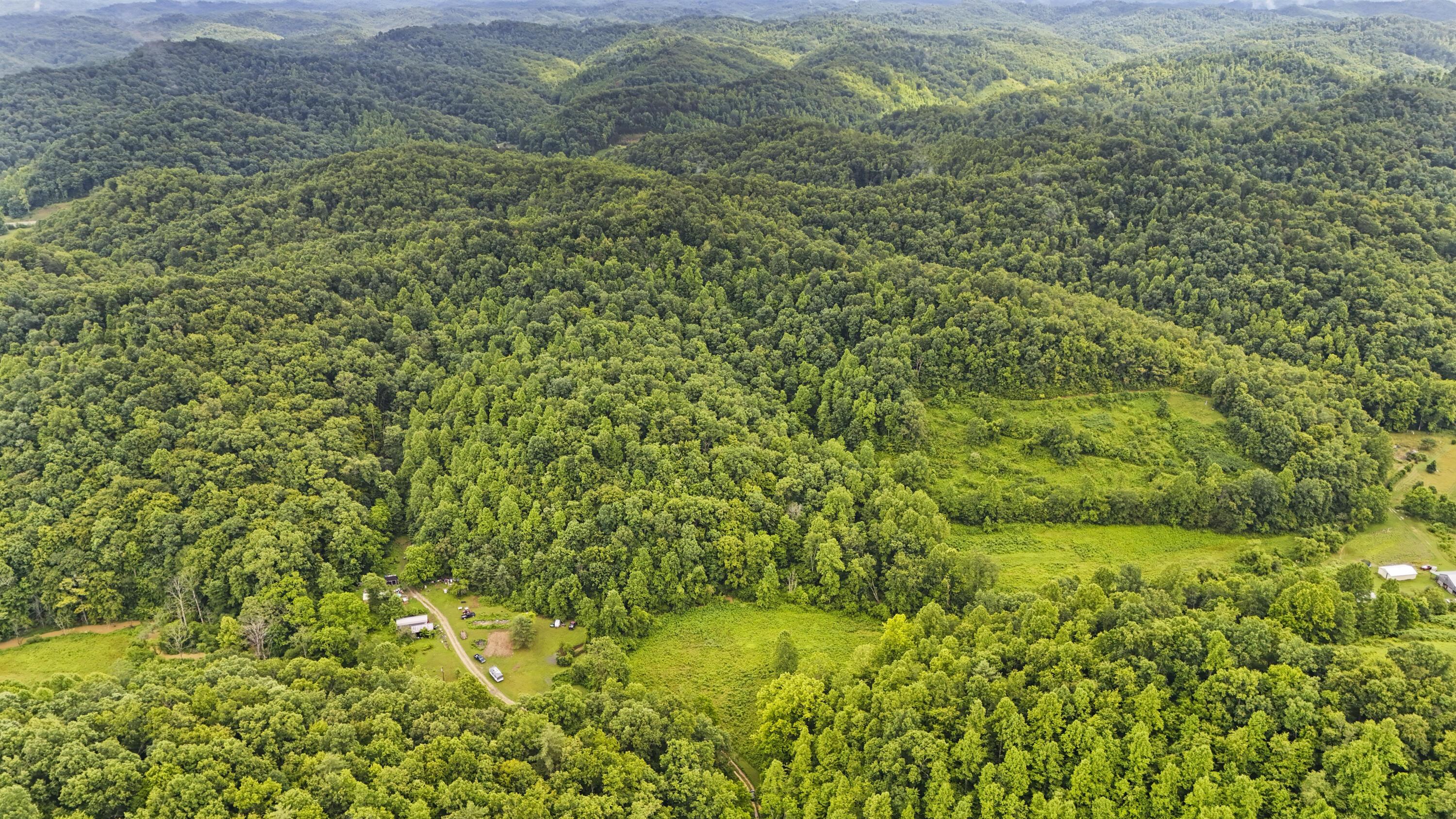 Image 4: DJI_20250619153002_0051_D