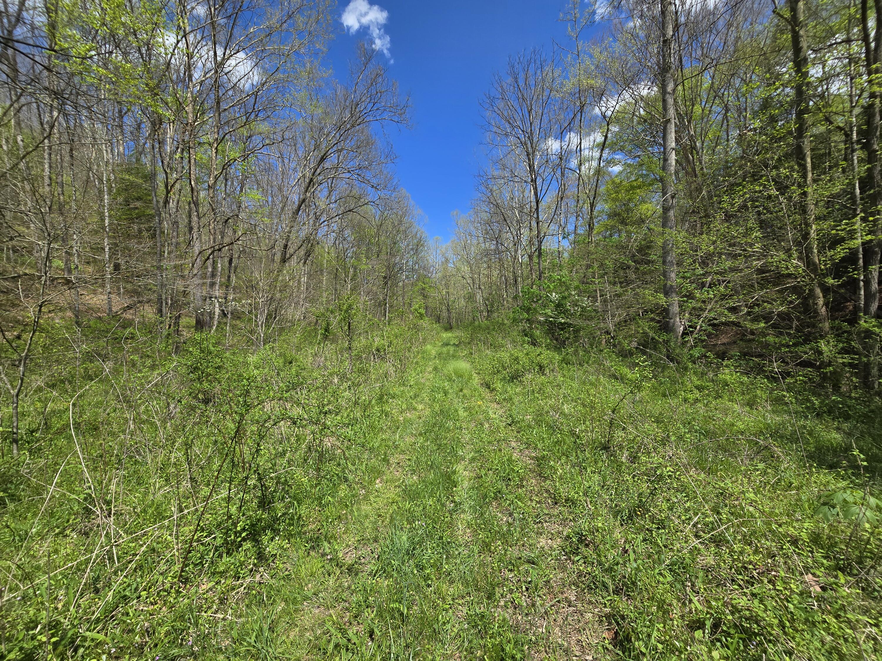 Image 2: 20250423_142729