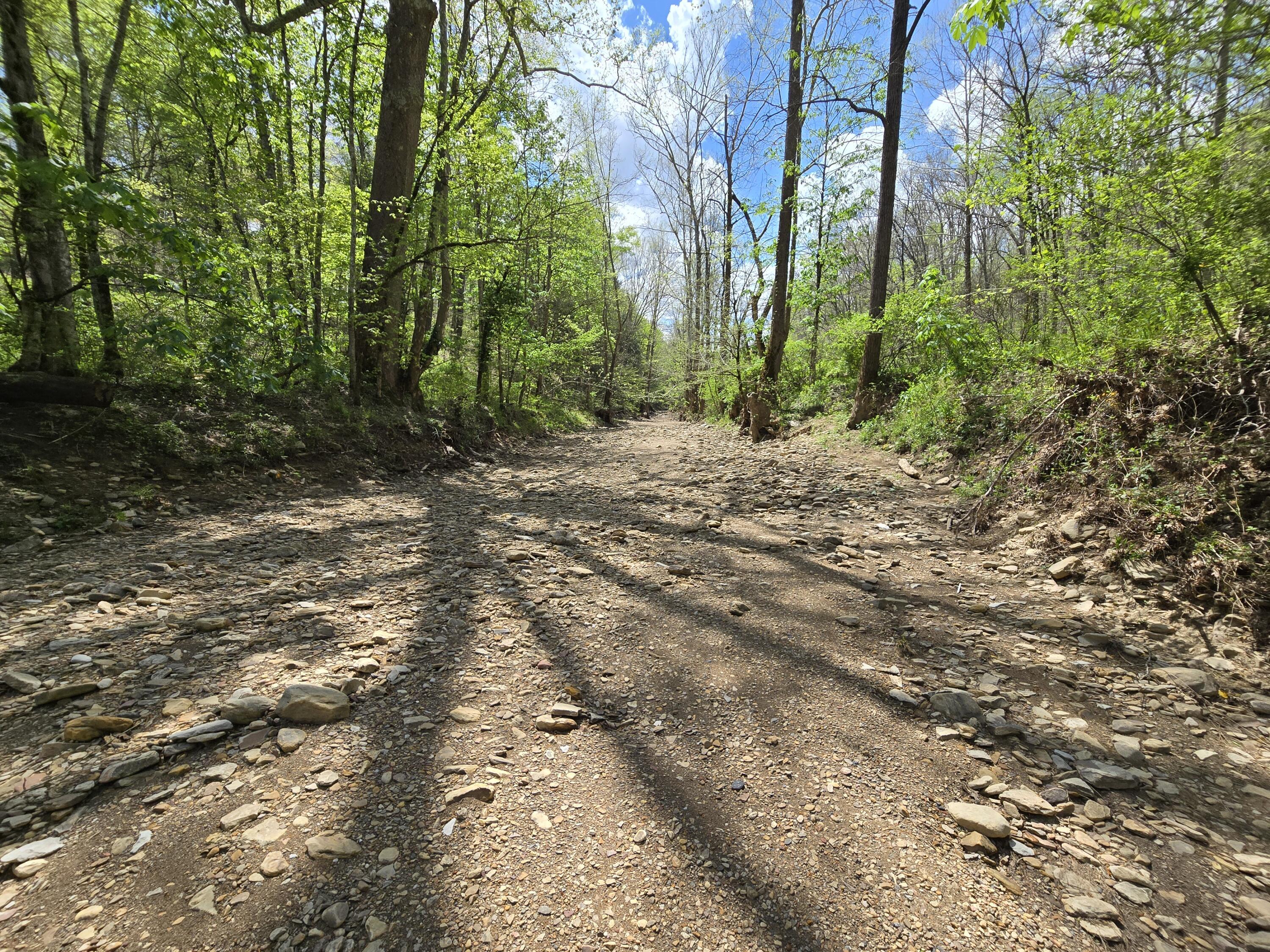 Image 3: 20250423_142943