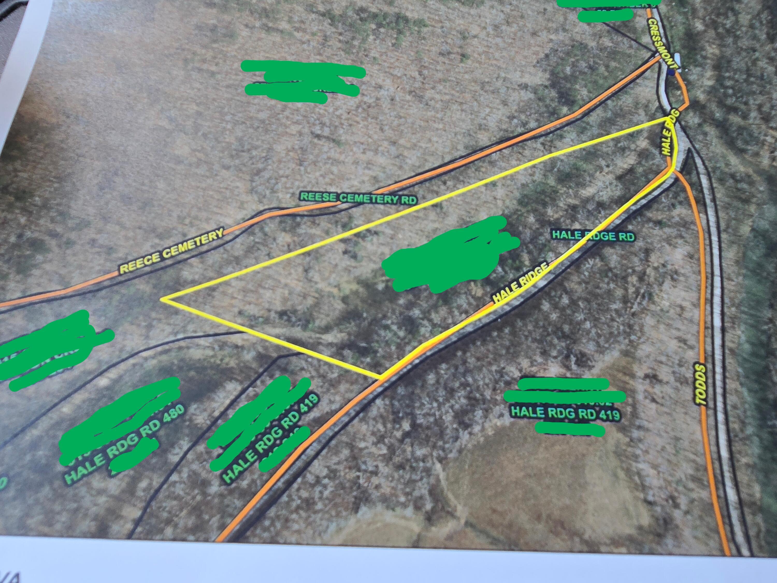 Image 4: 20250423_131227-EDIT