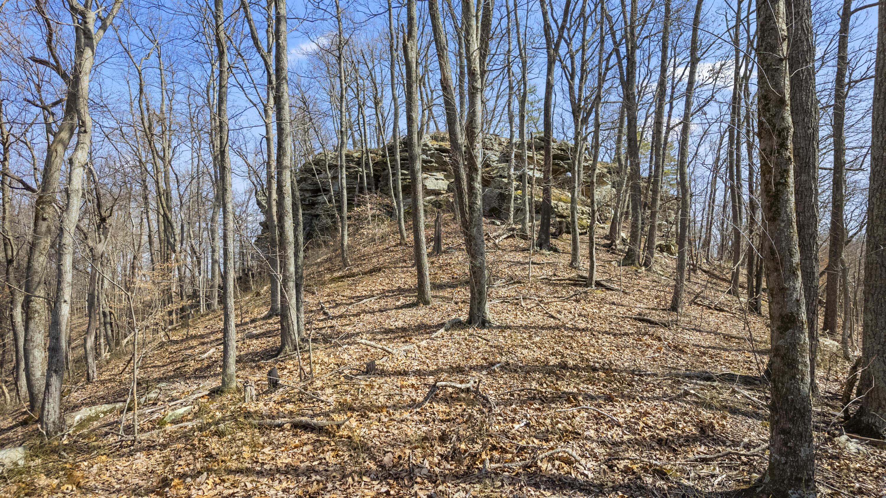 Image 2: DJI_20250312132204_0077_D