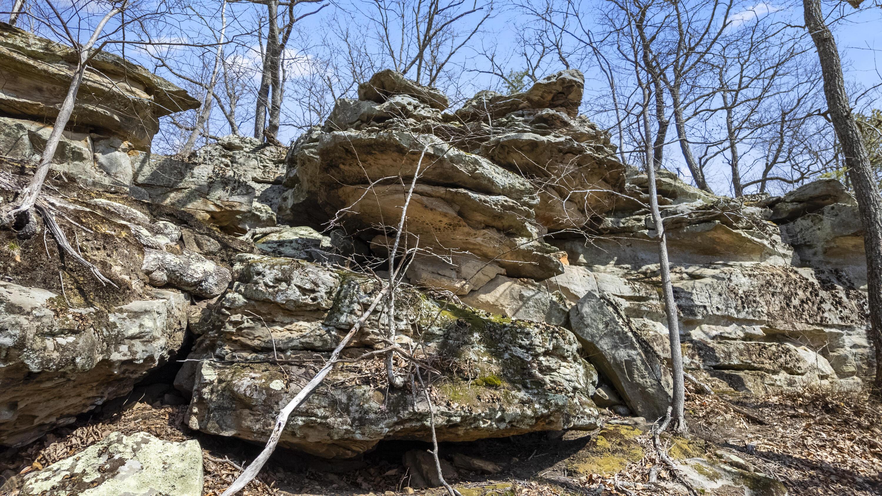 Image 3: DJI_20250312132553_0078_D