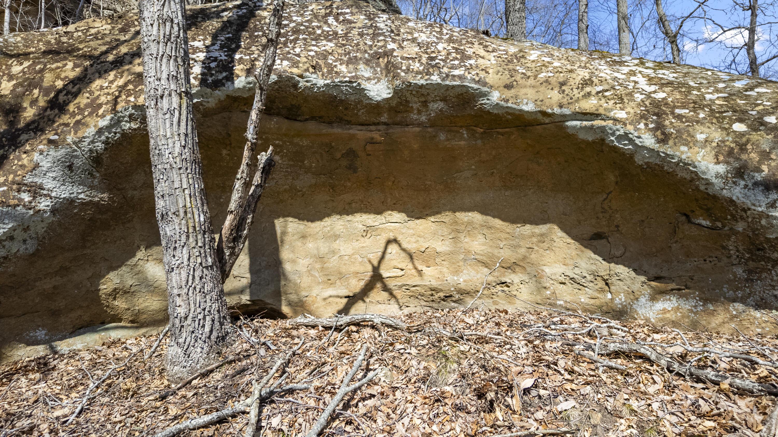 Image 4: DJI_20250312134124_0082_D