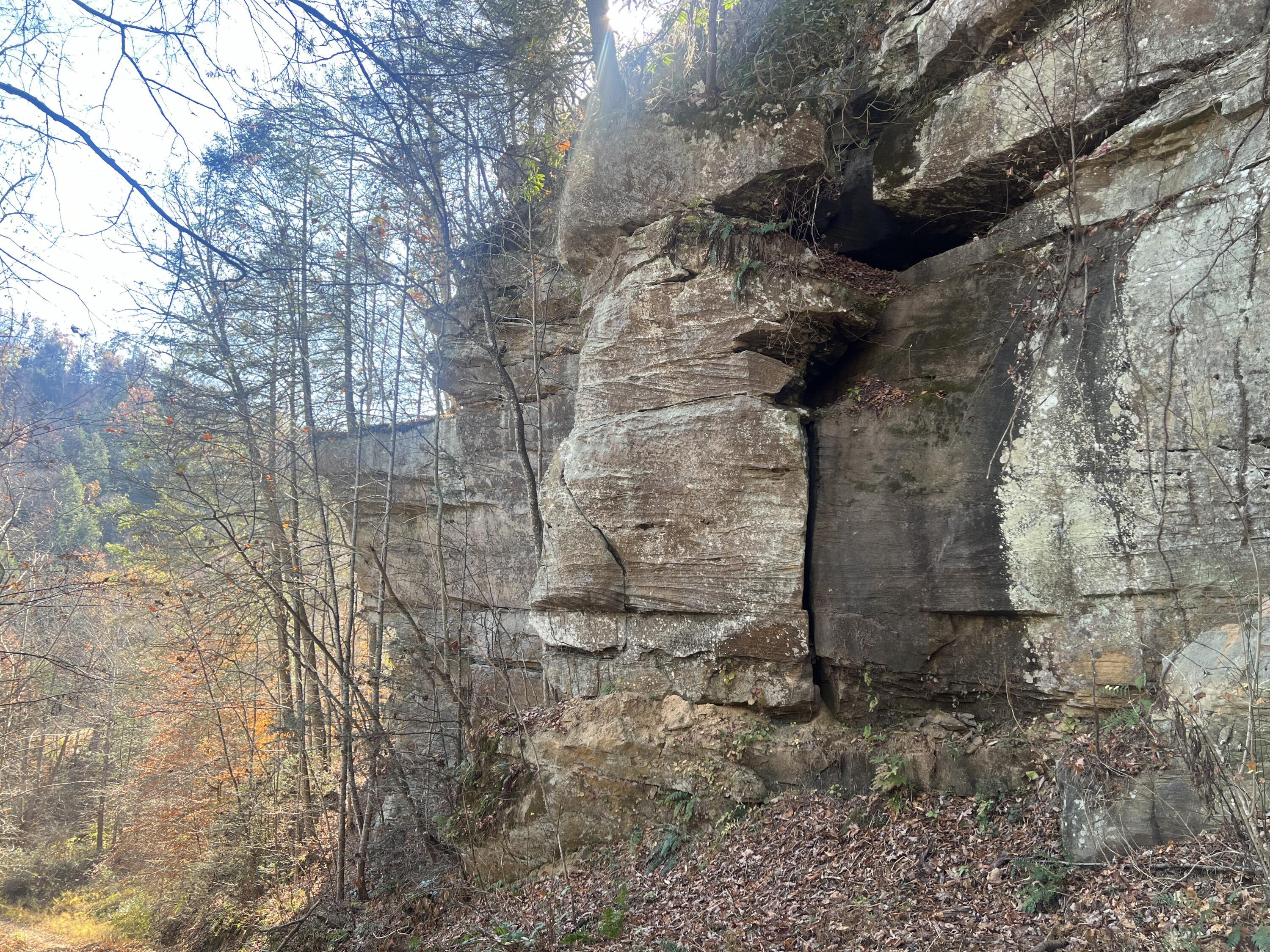 Image 2: IMG_4521