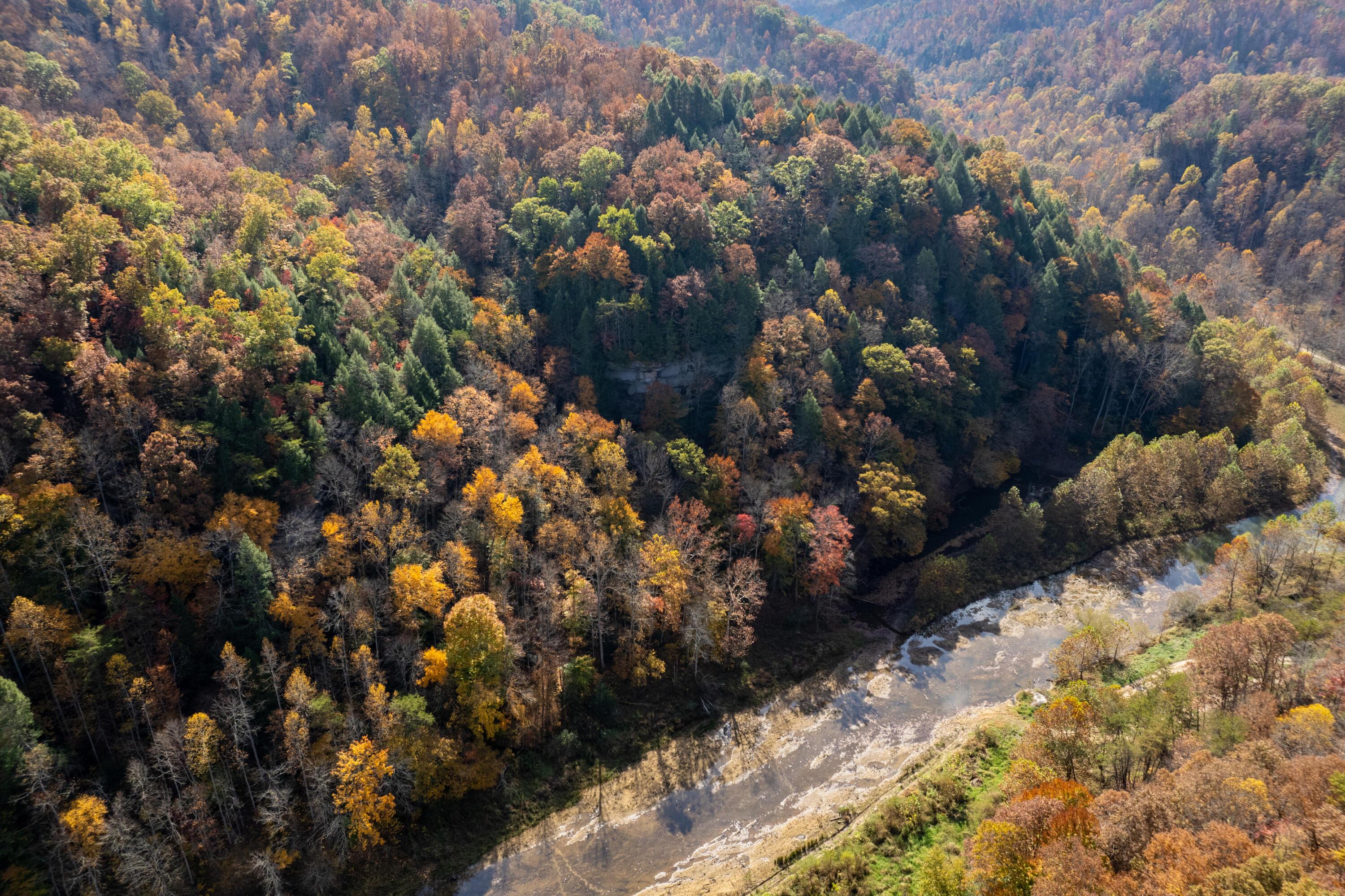 Image 3: DJI_0027