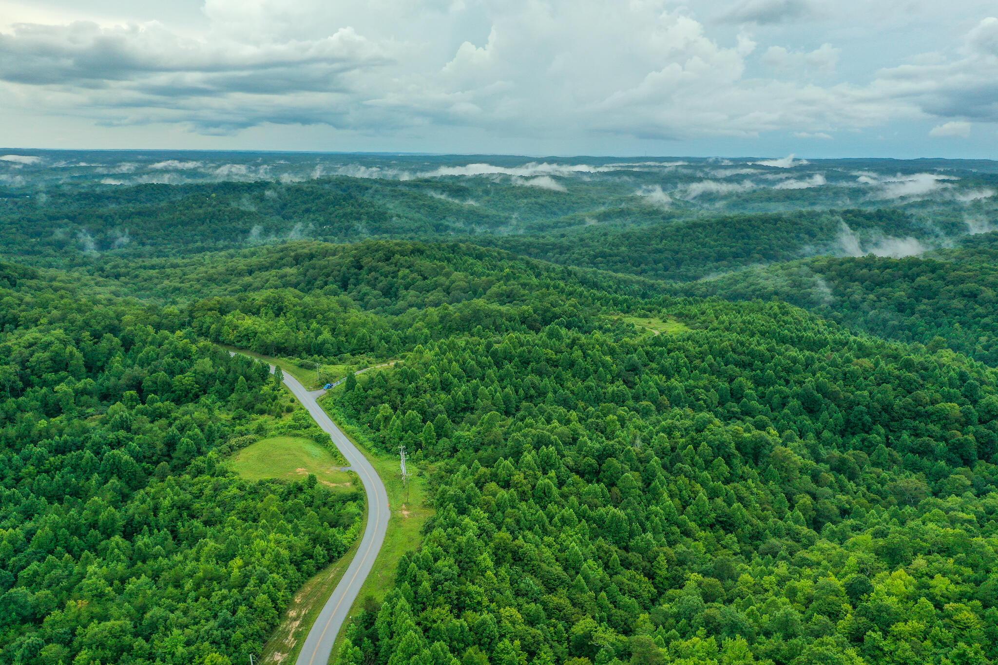 Image 3: DJI_0874