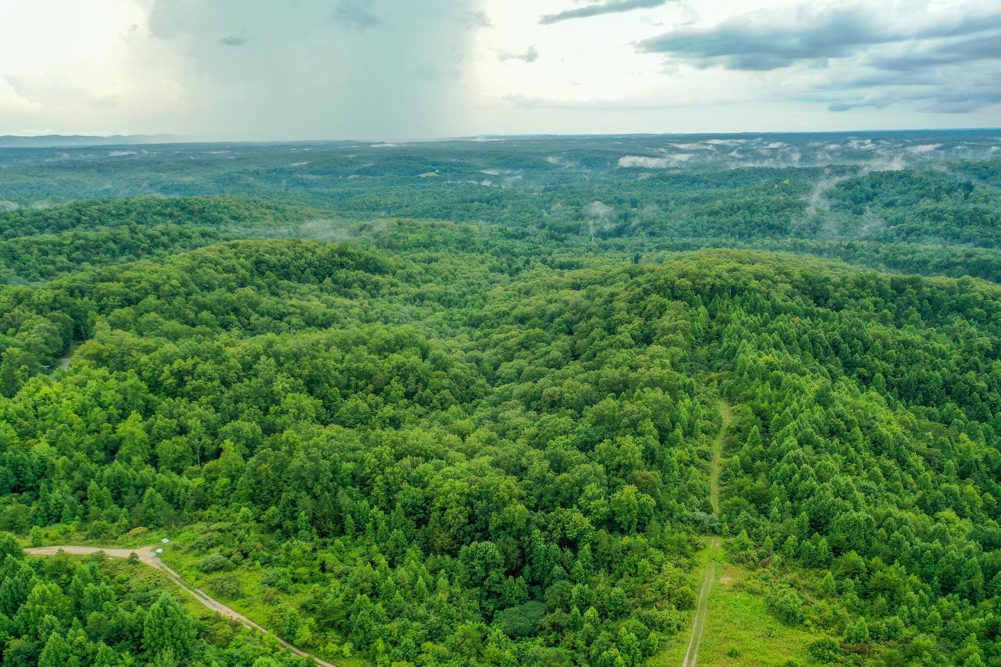 Image 4: DJI_0879