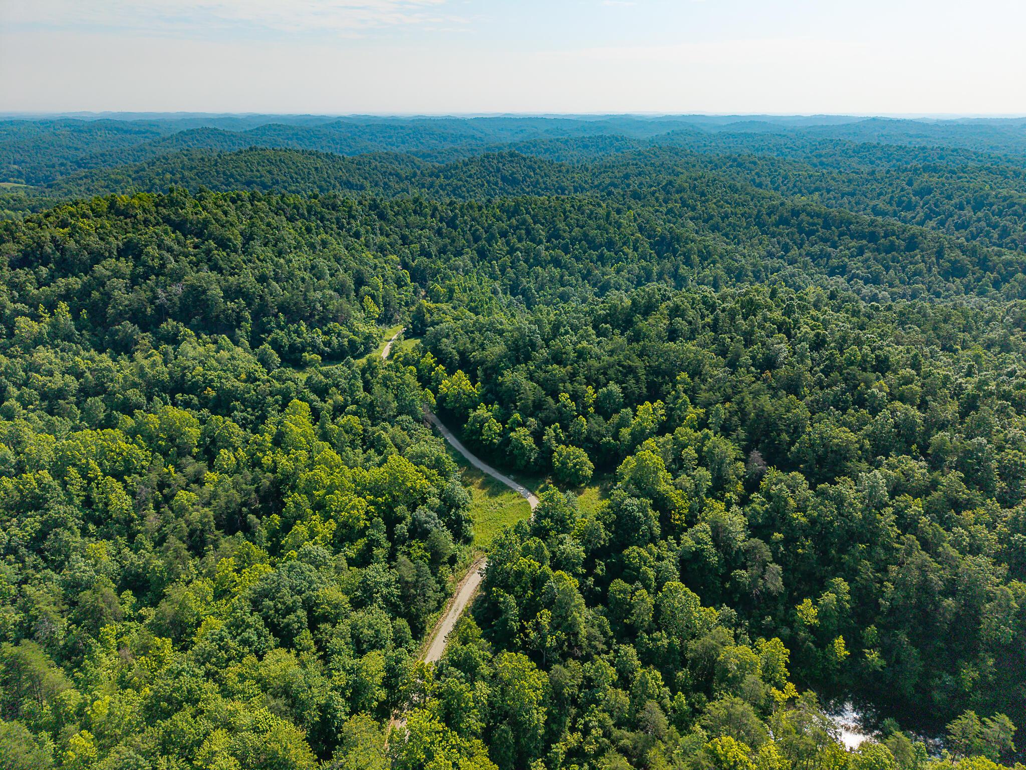 Image 1: Aerial of Property