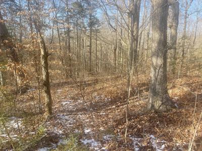 Lot 2 Cumberland Shores