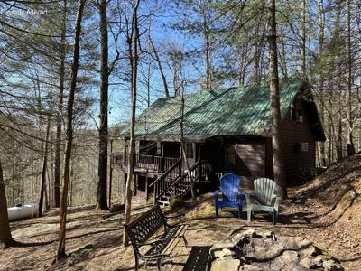 534 Cave Hollow Rd Road