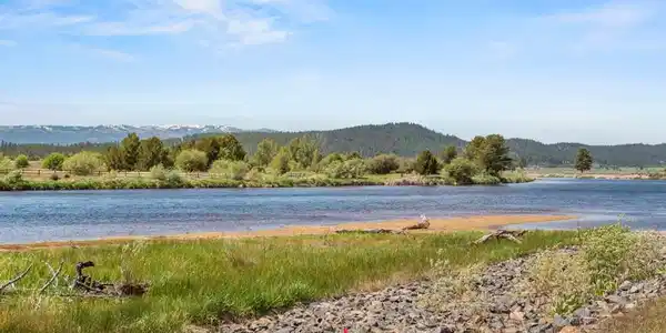 Image 2: Looking Up River