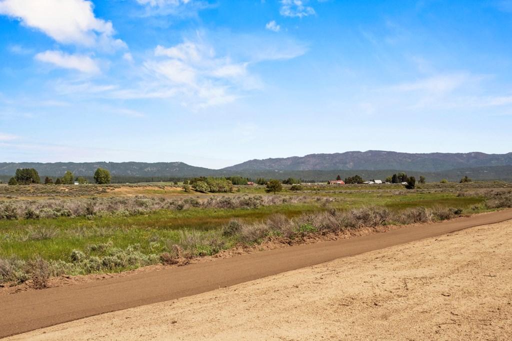 Image 2: Pathway Leading to Payette River