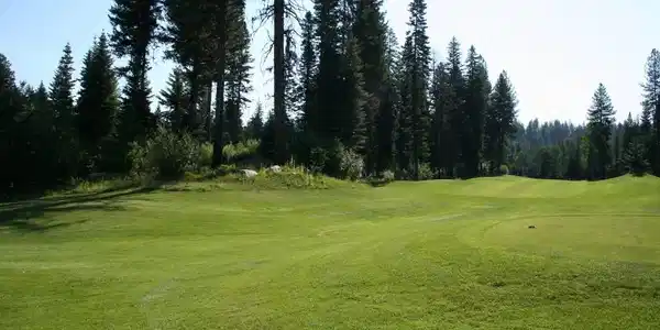 Lot 4 Violet Way