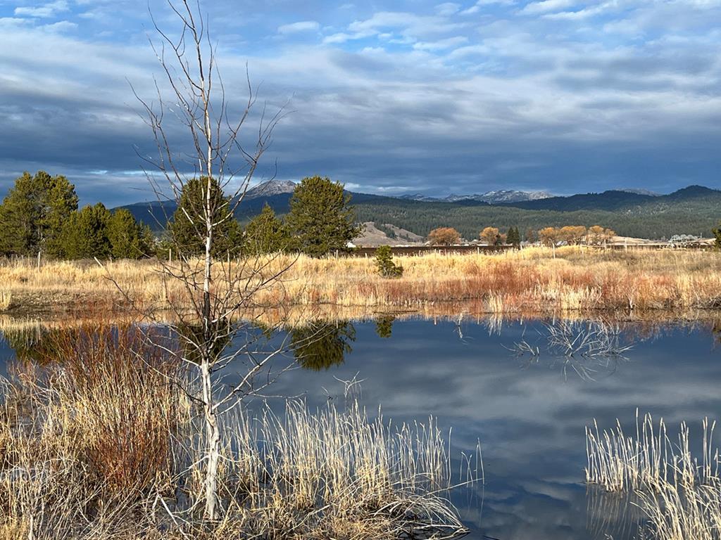 Image 2: Small Pond on Property