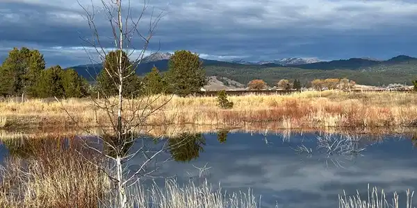 Image 2: Small Pond on Property