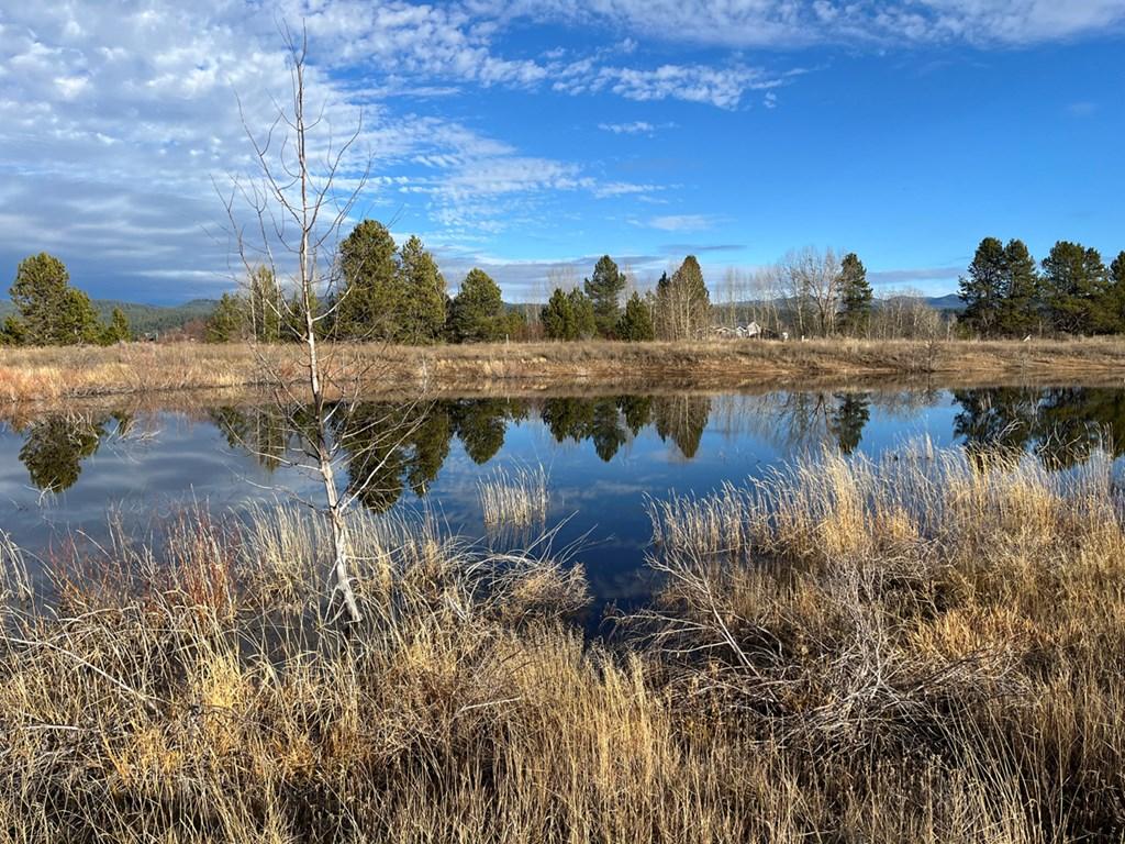 Image 3: Your Own Private Pond