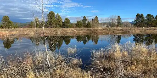 Image 3: Your Own Private Pond