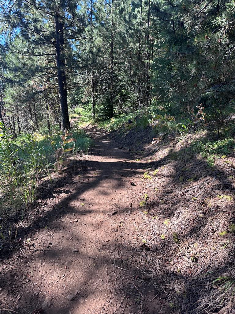 Image 4: Mountain Bike Trails