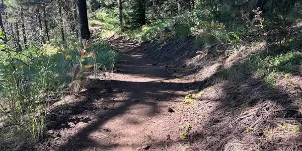 Image 4: Mountain Bike Trails