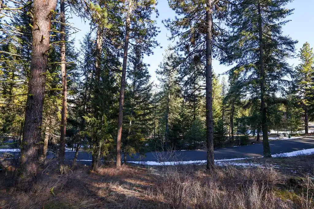 Image 1: Main View