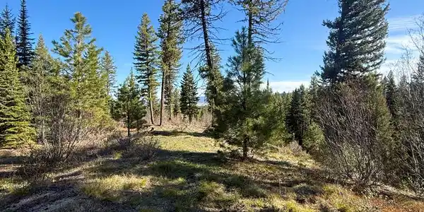 Image 2: Lot with Multiple Views