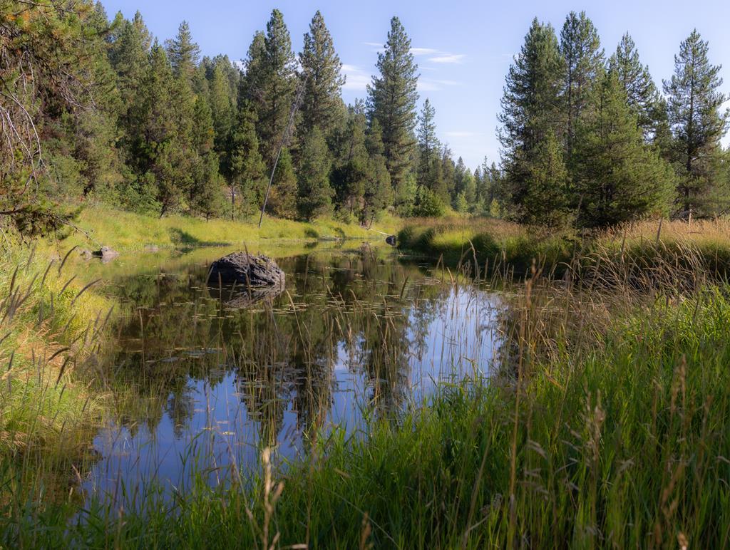 Image 3: Pond part of Private Community Land