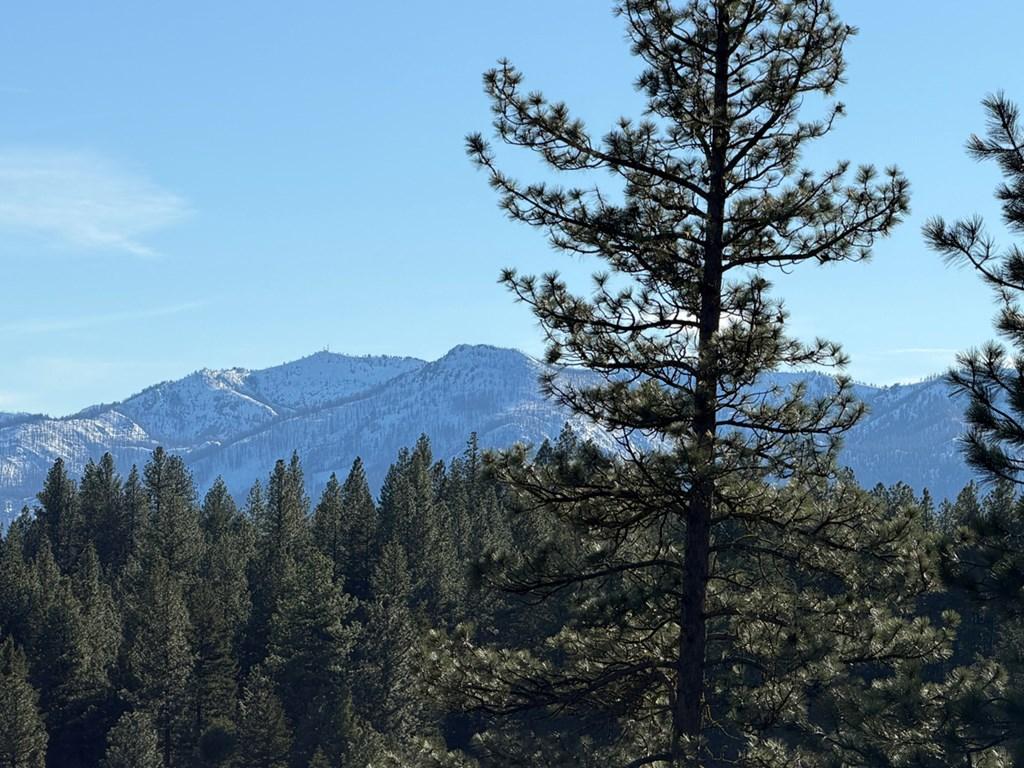 Image 2: Views of Collier Peak