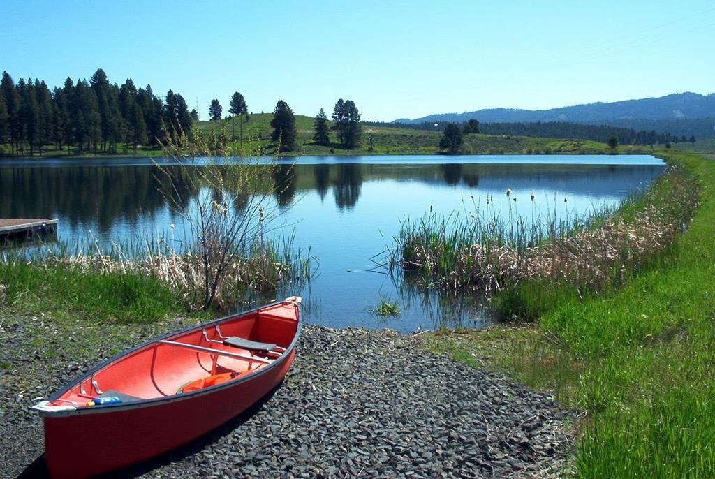 Image 4: Neighborhood lake