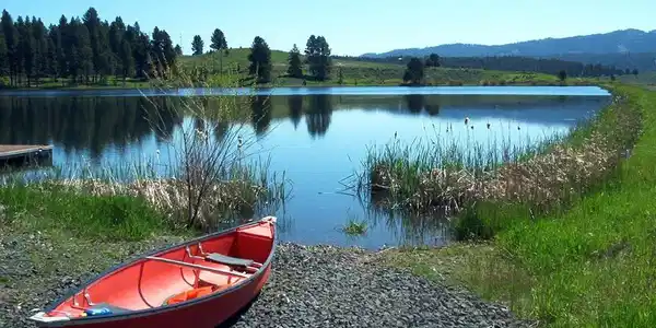 Image 4: Neighborhood lake